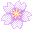 花が咲く
